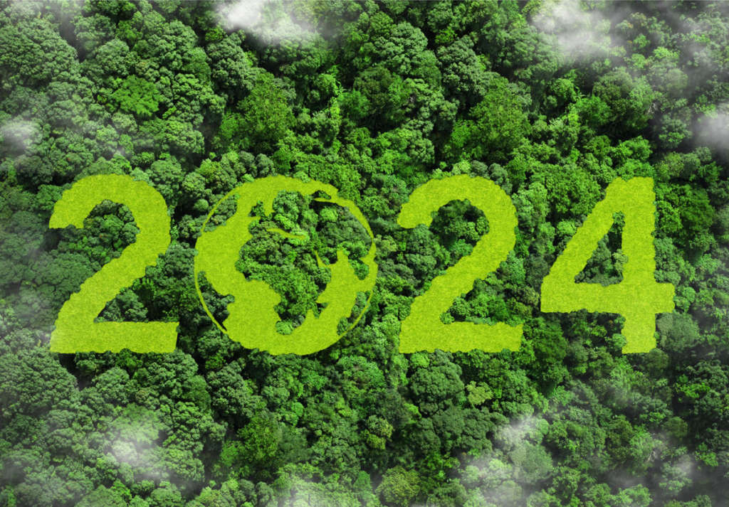 Ambiente le novità 2024