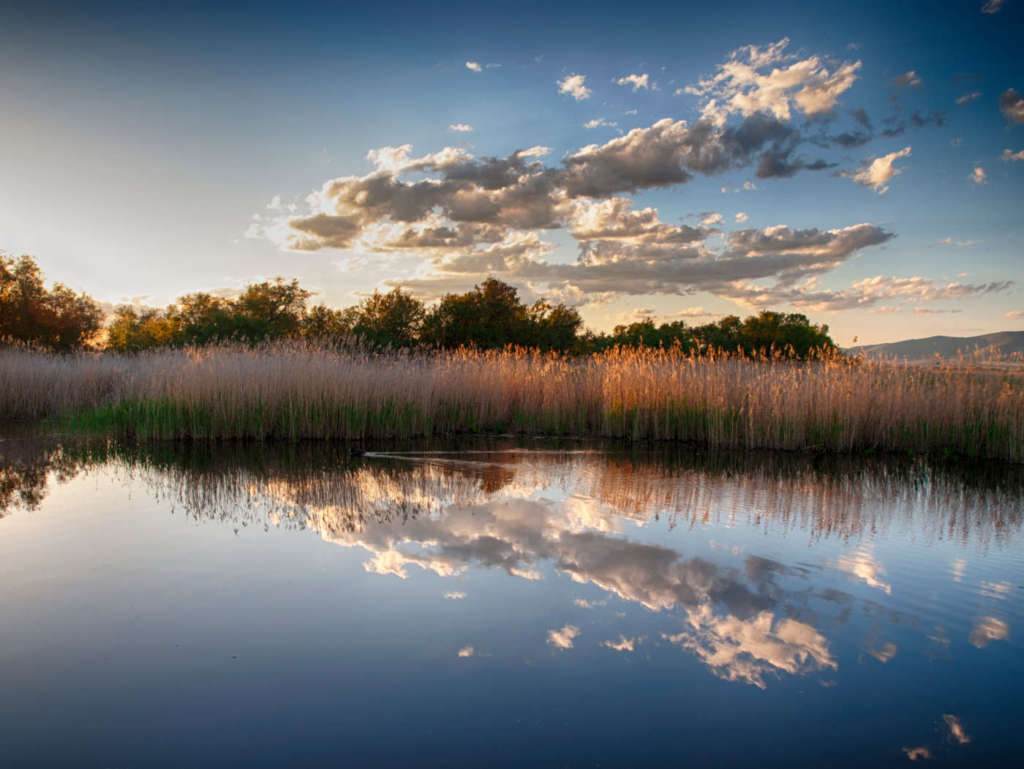 Sostanze da monitorare nelle acque
