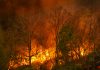 Contrasto degli incendi boschivi 2025
