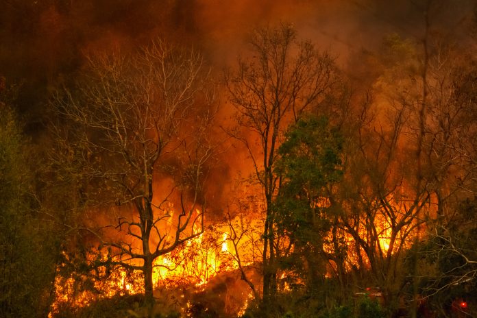 Contrasto degli incendi boschivi 2025