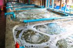 Sicurezza e sostenibilità dell'acquacoltura