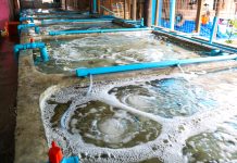 Sicurezza e sostenibilità dell'acquacoltura