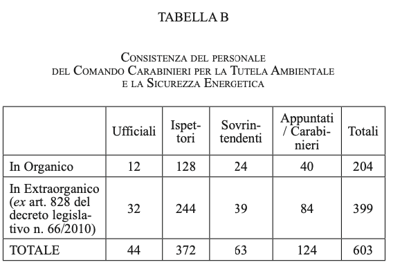 Carabinieri per la tutela ambientale e la sicurezza energetica