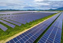 Impianti agrivoltaici e fotovoltaici: le linee guida sull'impatto ambientale