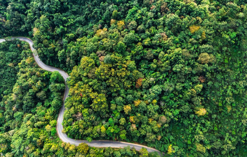Diritto penale dell’ambiente