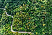 Diritto penale dell’ambiente: tutte le novità della legge 147/2025 – Leggi questo contenuto abbonandoti a Ambiente&Sicurezza o registrandoti gratuitamente al sito Diritto penale dell’ambiente