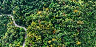 Diritto penale dell’ambiente