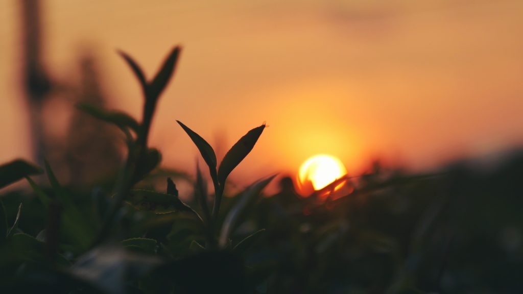 Luogo di lavoro e aziende agricole