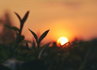 Luogo di lavoro e aziende agricole