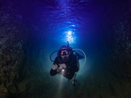 Sicurezza delle attività subacquee: istituita l’Agenzia Sicurezza delle attività subacquee