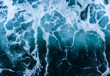 Bonifiche e controlli: i chiarimenti sul disposto combinato tra gli artt. 242 e 248 Bonifiche e controlli