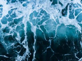 Bonifiche e controlli