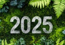 Test – Le novità del 2025