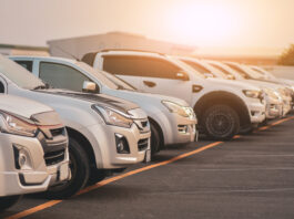 Albo gestori: i chiarimenti sull'iscrizione alla categoria M1