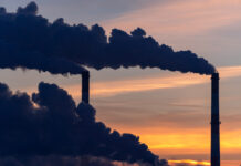 Assorbimento permanente del carbonio: le metodologie di certificazione