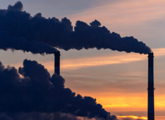 Assorbimento permanente del carbonio: le metodologie di certificazione