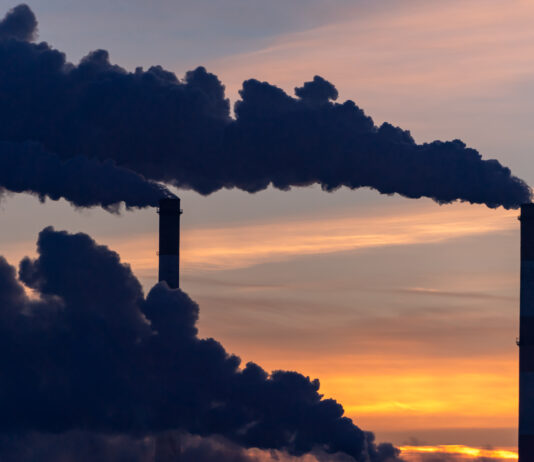 Assorbimento permanente del carbonio: le metodologie di certificazione