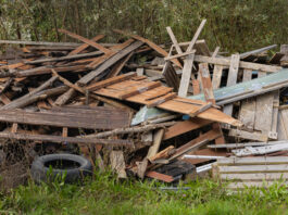 Sanzioni per abbandono di rifiuti: chi incassa i proventi?
