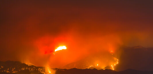 Attività antincendio boschivo 2026: emanate la raccomandazioni operative