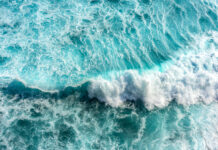 Tutela del mare: approvato il piano 2026-2028 Tutela del mare: approvato il piano 2026-2028