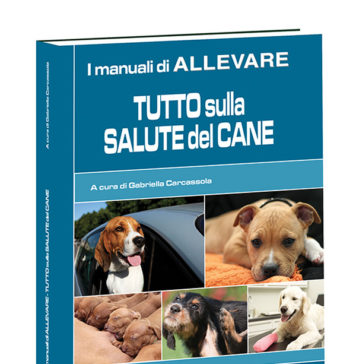 Tutto sulla salute del cane