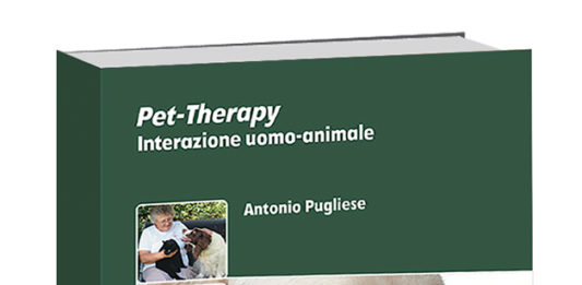 pet-teraphy