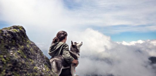 cane e padrone uguali
