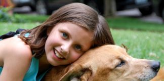 educare il cane