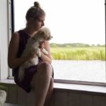 fobie nel cane 2