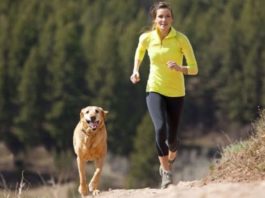 scegliere-una-dieta-per-il-cane