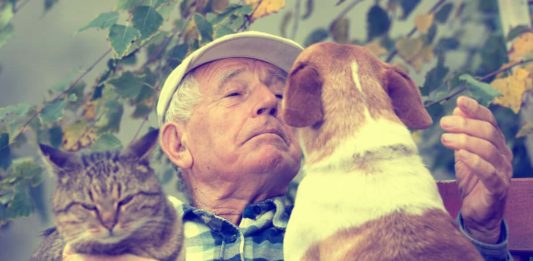 Animali in casa : uno ogni tre famiglie e la metà viene salvata dalla strada animali in casa