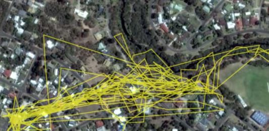 governo controlla gli spostamenti