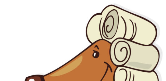 maltrattamento animale