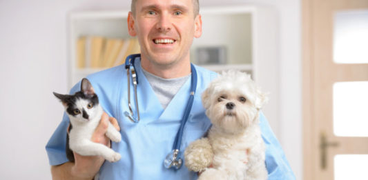 parassiti gastrointestinali