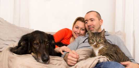 Le parassitosi di cane e gatto possono avere ricadute sulla salute umana? parassitosi