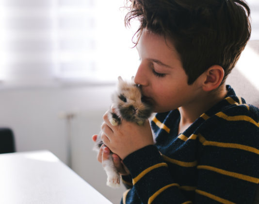 prima visita nel coniglio