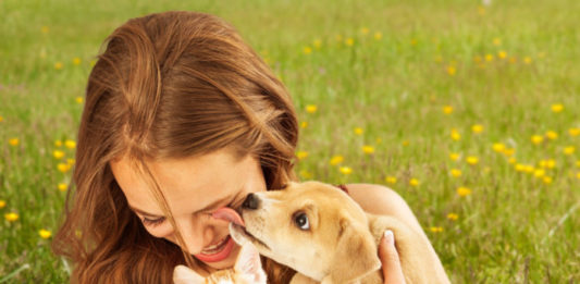 Problemi della comunicazione nei cani e nei gatti. Come affrontarli problemi della comunicazione
