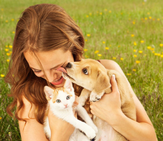 problemi della comunicazione