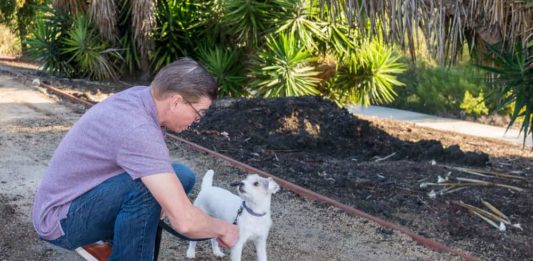 risarcimento del danno