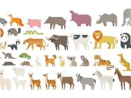 versi di animali