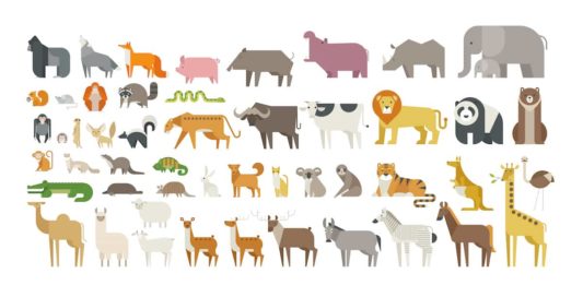 versi di animali