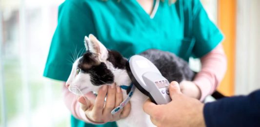 anagrafe degli animali d'affezione