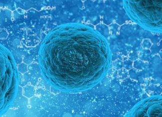 differenza tra trasmissibilità e contagiosità di una malattia