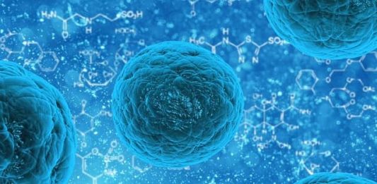 differenza tra trasmissibilità e contagiosità di una malattia