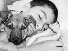 Dormire con il cane fa bene? Lo rivela uno studio scientifico dormire con il cane