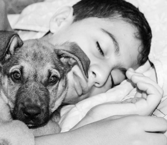 dormire con il cane
