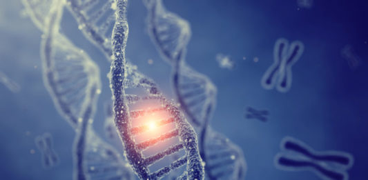 gene alleli e cromosomi