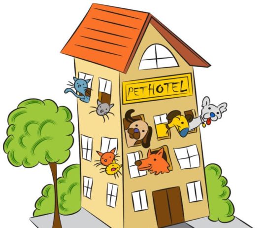 Qual è la documentazione richiesta in una pensione per animali? documentazione richiesta in una pensione per animali