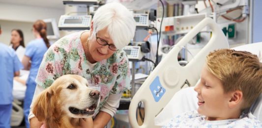 animali negli ospedali