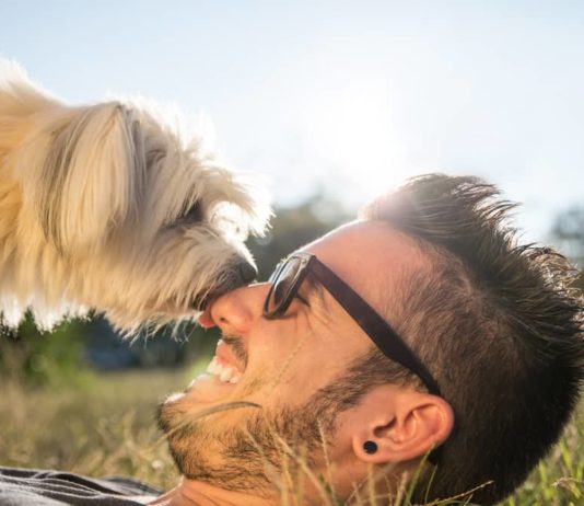 Se sorridi, il tuo cane capisce che sei felice. Vediamo perché cane capisce che sei felice